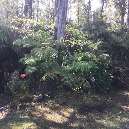Simply Convenient Tropical Country Studio Mountain View Buitenkant foto