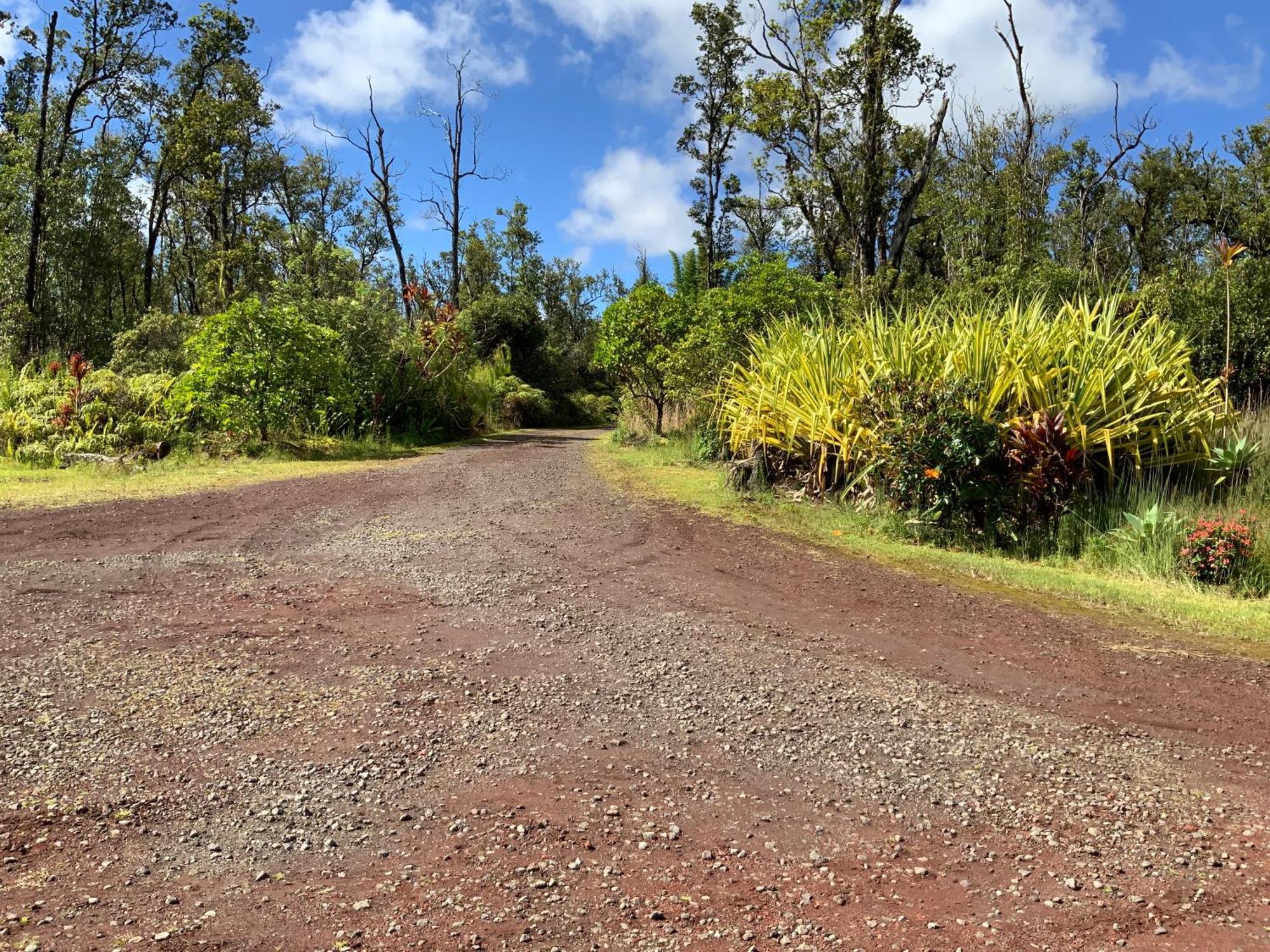 Simply Convenient Tropical Country Studio Mountain View Buitenkant foto